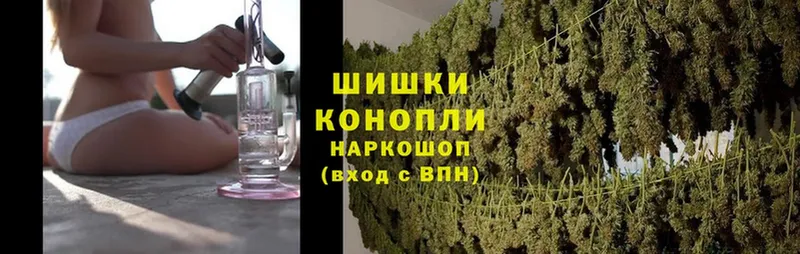 kraken как войти  цены наркотик  Кингисепп  Бошки Шишки OG Kush 